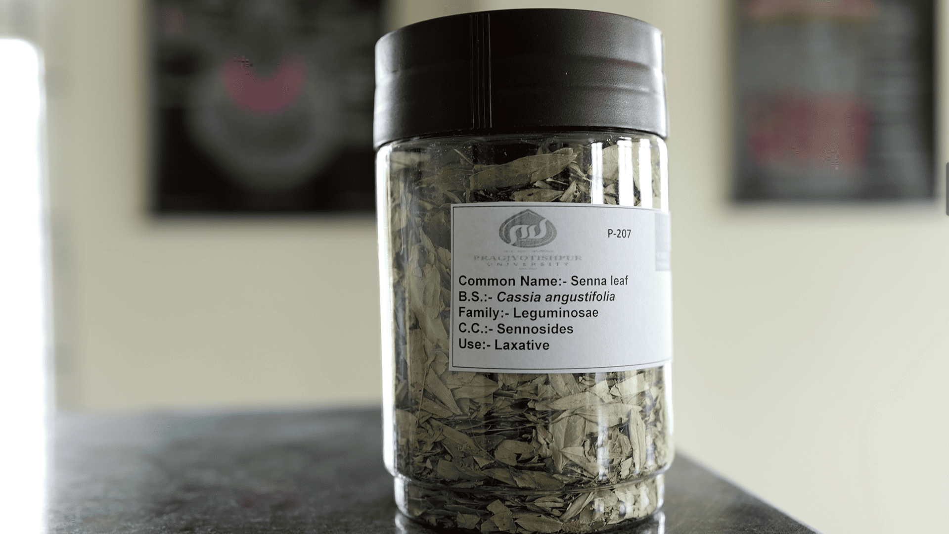 Pragjyotishpur University Guwahati Pharmaceutical chemistry lab photo 10